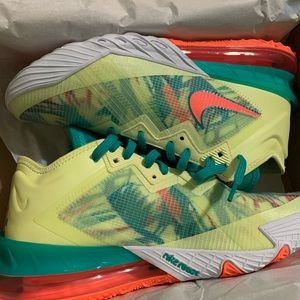 Nike Lebron James Summer Refresh 18 Low